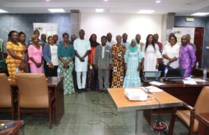 Artisanal mining: the organisation and framing of the sector under discussion