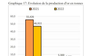 #Burkina_Faso : Sharp drop in gold production in 2022