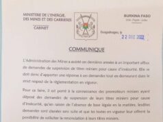 Titres miniers : le ministre des mines préconise la renonciation en lieu et place à la suspension