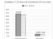 Burkina Faso: 57.675 tonnes of gold produced in 2022