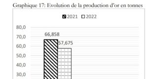 Burkina Faso : 57,675 tonnes d’or produits en 2022