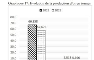 Burkina Faso : 57,675 tonnes d’or produits en 2022