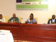 Artisanal mining: Human rights issues under discussion