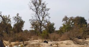 Houndé : 10 morts suite à un éboulement d’un site artisanal