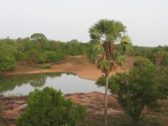 Bénin – Burkina Faso : le sacrifice des espaces protégés au profit des ressources minières