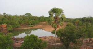 Bénin – Burkina Faso : le sacrifice des espaces protégés au profit des ressources minières
