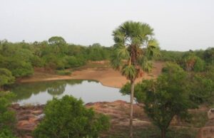 Benin – Burkina Faso: the sacrifice of protected areas for mining resources