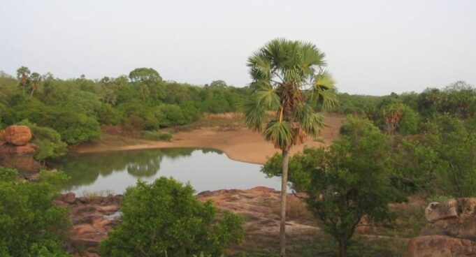 Benin – Burkina Faso: the sacrifice of protected areas for mining resources