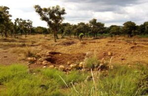 Gold panning in southwest Burkina Faso: food security sacrificed on the altar of gold?