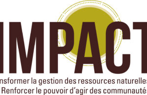 A new effort aims to increase transparency in the Democratic Republic of Congo’s artisanal cobalt supply chain by mapping its taxes and fees