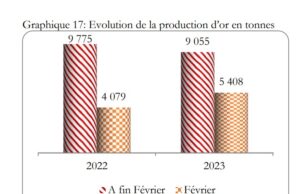 Secteur minier : Hausse de la production industrielle d’or en février 2023 (5,408 tonnes)