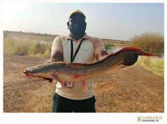 La mine d’IAMGOLD Essakane soutient la pisciculture au Sahel