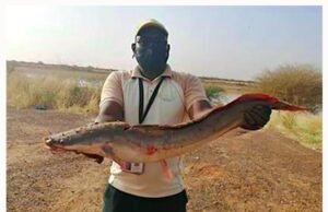 IAMGOLD Essakane mine supports fish farming in the Sahel