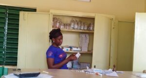 Fonds minier de Développement local : le rôle déterminant de la société civile locale à Houndé et à Soaw