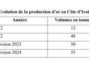 Côte d’Ivoire: 50 tonnes of gold expected in 2023