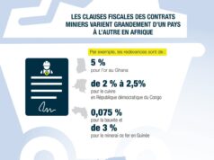 Secteur minier : Les pays africains ne disposent pas de capacités pour faire respecter la loi