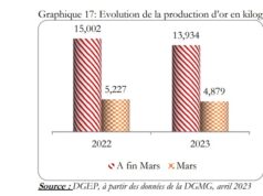 Burkina Faso : baisse de la production d’or de 9,8% en mars 2023