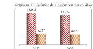 Burkina Faso : baisse de la production d’or de 9,8% en mars 2023