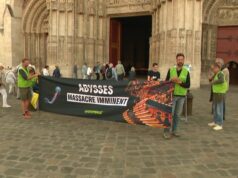 Protection de l’environnement:l’ONG Greenpeace se mobilise pour éviter l’exploitation minière des fonds marins