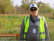 Orezone Bomboré: empowerment projects for women (weaving, vegetable growing, goat farming)