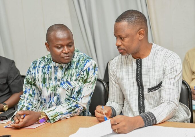 Amendment to the Burkina Faso Mining Code: Enabling the Local Development Mining Fund to contribute to the Patriotic Support Fund