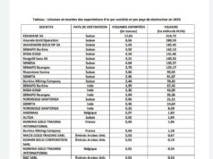 Burkina Faso : Quelles sont les taxes payées par les sociétés minières ?