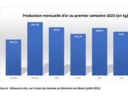Burkina Faso: 27.396 tonnes of gold produced in the first half of 2022