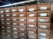 JAM 2023: the Minister of Mines visits the BUMIGEB site, which stores 95 years of data