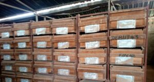 JAM 2023 : le ministre des Mines visite le site du BUMIGEB qui stocke des données de 95 ans