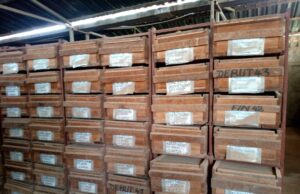 JAM 2023 : le ministre des Mines visite le site du BUMIGEB qui stocke des données de 95 ans