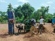 Artisanal gold mining: 5% of sites have authorisation