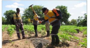 Côte d’Ivoire : Mako Gold Limited découvre un gisement important de manganèse