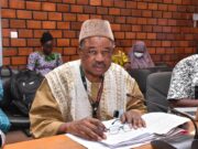 Institutional reforms in the mining sector: From CBMP to SONASP via ANEEMAS