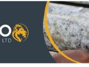 Lithium mining in Mali: The government demands that the first processing take place locally