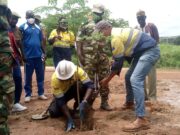 2023 reforestation campaign at the SOMISA mine: site rehabilitation process underway
