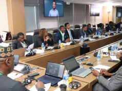 Améliorer la modélisation financière pour faciliter mobilisation des recettes minières en Afrique