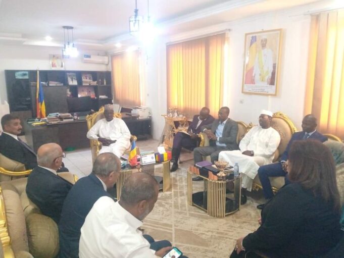 Mining: Egyptian investors interested in Chad’s gold