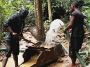 Gabon : L’orpaillage, la recherche et la production d’or reprennent après 3 ans de suspension