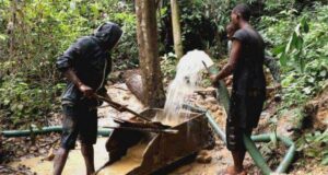 Gabon : L’orpaillage, la recherche et la production d’or reprennent après 3 ans de suspension