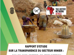 Cameroon: Poor disclosure of information on artisanal gold mining