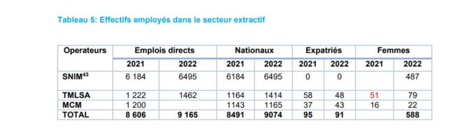 Mauritania: The mining sector created 9,165 direct jobs in 2022
