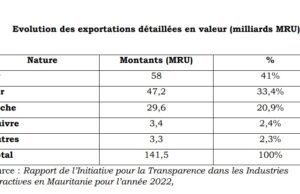 Mauritania: 2,242 billion FCFA in export revenues generated by the mining sector in 2022