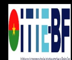 Transparency in the mining sector: EITI Burkina adopts its 2021 report