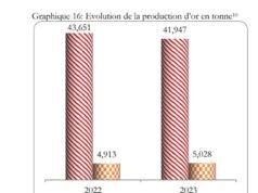 Burkina Faso : 41,947 tonnes produits entre janvier et septembre 2023
