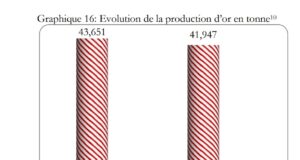 Burkina Faso : 41,947 tonnes produits entre janvier et septembre 2023