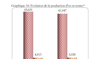 Burkina Faso: 41.947 tonnes produced between January and September 2023