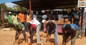 Journée de Promotion des Briques latérites taillées : Les différentes possibilités d’utilisation et de la personnalisation de la latérite