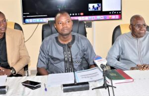 Burkina Faso: Prospects for finding critical minerals to enhance mining operations