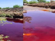 Mining in Burkina Faso: polluting water resources with impunity!