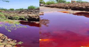 Exploitation minière au Burkina Faso : pollution des ressources en eau en toute impunité !